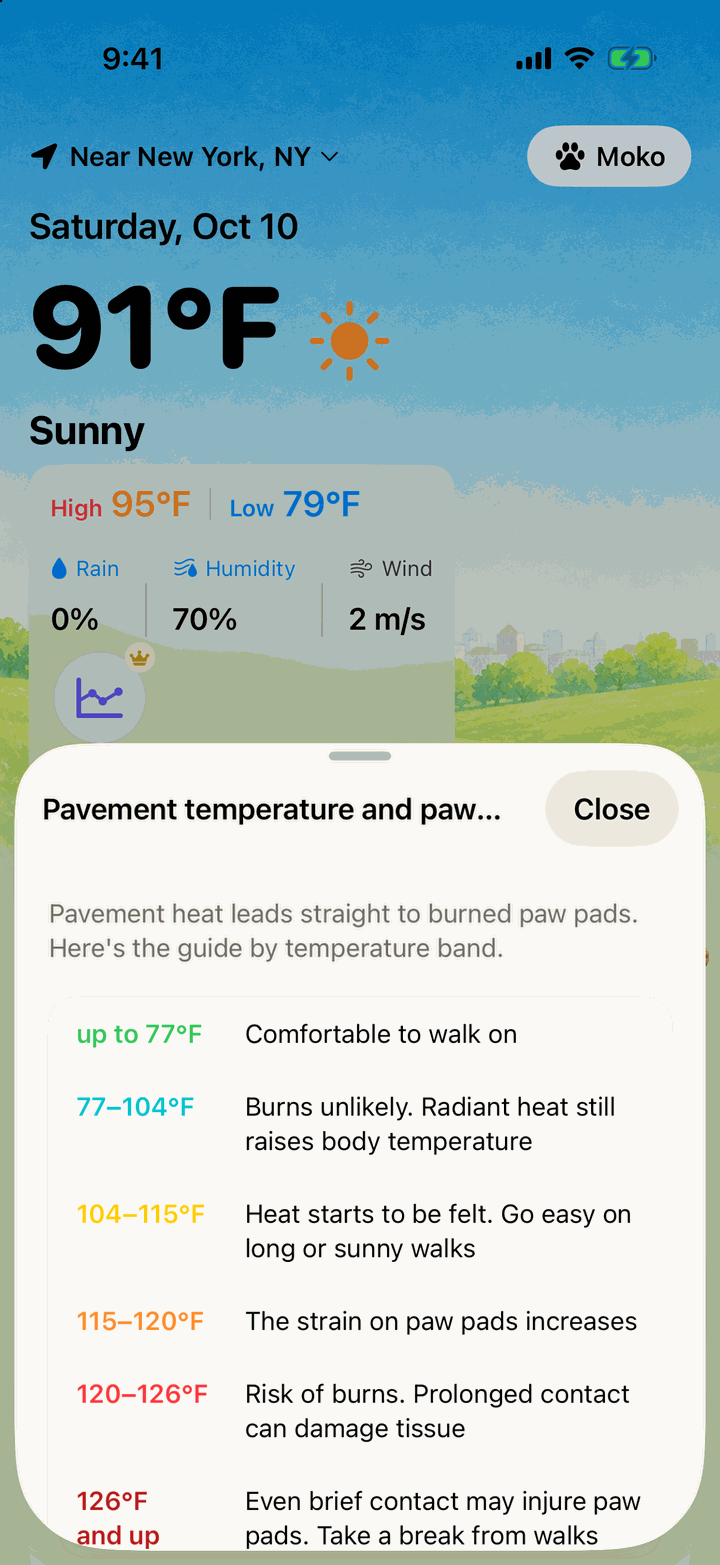 “Pavement temperature and paw pads” sheet listing what each temperature band means for paw pads